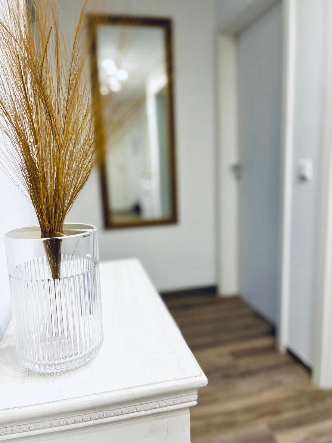 Modernes 3 Zimmer Apartment - Luise- Mit Wlan, Balkon Und Smart-Tv In City-Nahe! Эрфурт Экстерьер фото